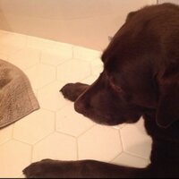 Ed Boylan (@ed_boylan) 's Twitter Profile