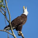 Rodney Prouty - @eos800 - Twitter