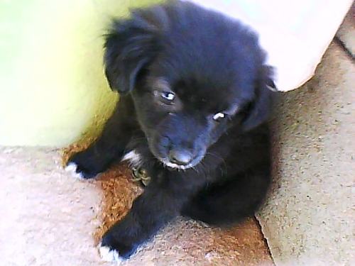 AlanisIsabelly's profile picture. 