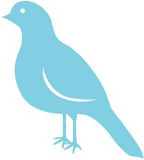 ineq1114's profile picture. 