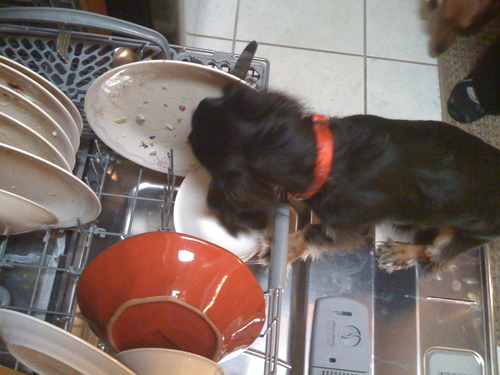 Azhoges's profile picture. 