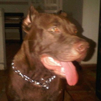 javierrodrigu77's profile picture. 