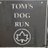Toms Dog Run