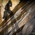 Dalkey Quarry Photos (@dalkeyquarry) Twitter profile photo