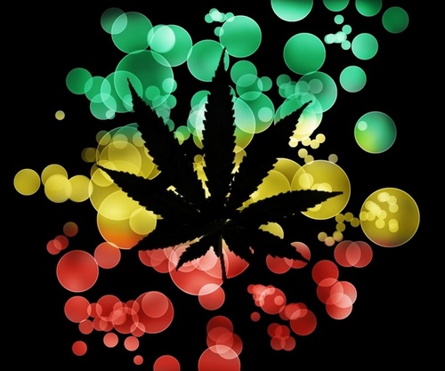 I Smoke Weed, You Smoke Weed, Follow Me