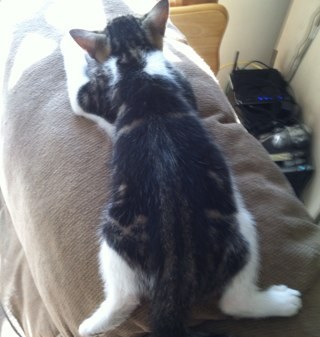 charlie Profile