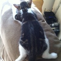 charlie (@herbiechar) 's Twitter Profile Photo charlie (@herbiechar) 's Twitter Profile Photo