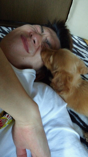 masa_4_masa's profile picture. 西海岸をこよなく愛する。 ぼやっとつぶやく。