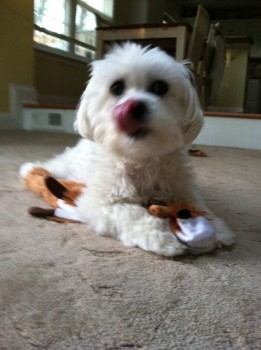 HankGerard's profile picture. https://t.co/6Il1tQKZvU - under construction