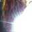 iPukeGlitterxo's profile image