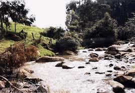 Iniciativa ciudadana por la defensa y recuperación del Río Tunjuelo. Gobernanza del Agua y amor por la vida son nuestra consigna