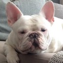 Mike Stella - @mjstella - Twitter