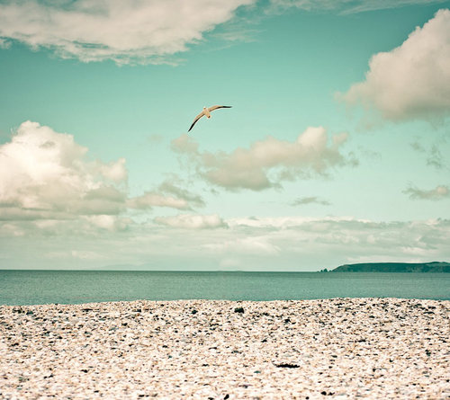 dalcomcoffee's profile picture. 어둠의 🥨