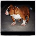 Lonnie Jamison - @lonnie_jamison - Twitter