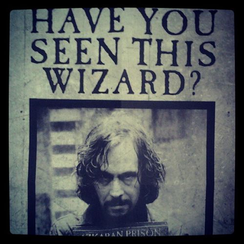 Se você é fã de Harry Potter e se considera criativo, mande suas melhores frases para: harrypotterironico@hotmail.com.