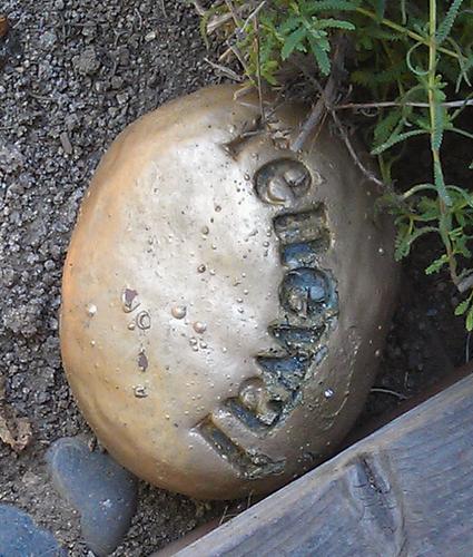 w0m6at's profile picture. 