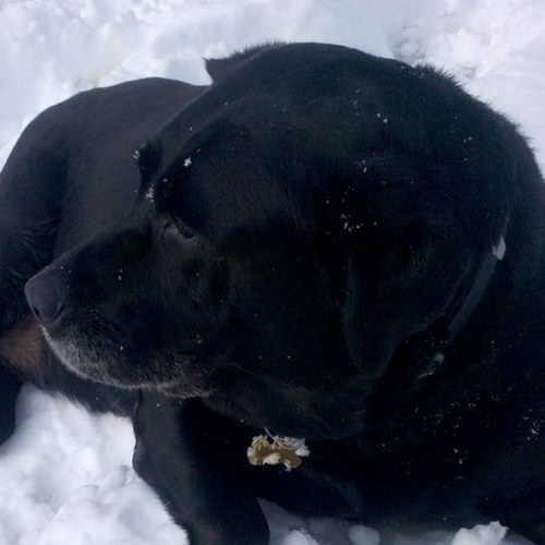 nofactor9's profile picture. 