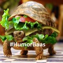 Onze 'Follow' knop heeft jeuk. Wil je ff krabben? Volg ons als je ook een #HumorBaas bent!