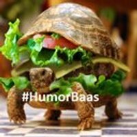 HumorBaas (@humorbaas) 's Twitter Profile Photo HumorBaas (@humorbaas) 's Twitter Profile Photo
