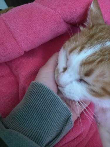 ryoonjung's profile picture. 야권연대 단일화 화이팅! 문재인 후보를 지지합니다! 문재인 후보님 다음 대선에도 꼭 나와주세요. 제 마음 속에는 문재인 후보님이 영원한 대통령 후보십니다. 문재인 후보님 화이팅!