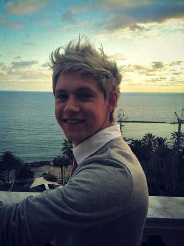 crazybycondas's profile picture. Antigo: @Harry1Delicia
Minha conta foi suspensa =[ não sei pq, afeeeeee.