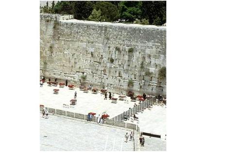 Helping Feed The Hungry in Jerusalem For 30 Years-Friends of Machlis Family http://t.co/txi2Q3xzhe Please Visit WebSite For More & US Tax Deductible Donations