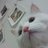 루루룰룰루룰루하루 (@xiah_haru) Twitter profile photo