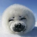 hansenlee - @lee99_hansen - Twitter