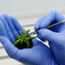 Biotechnology (@biotechnology36) Twitter profile photo
