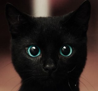 KingaBijan's profile picture. Ciągle uczę się świata. Uczulona na ludzką głupotę.