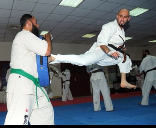 sport , martial arts ( kyokushin karate , kick boxing , mma )