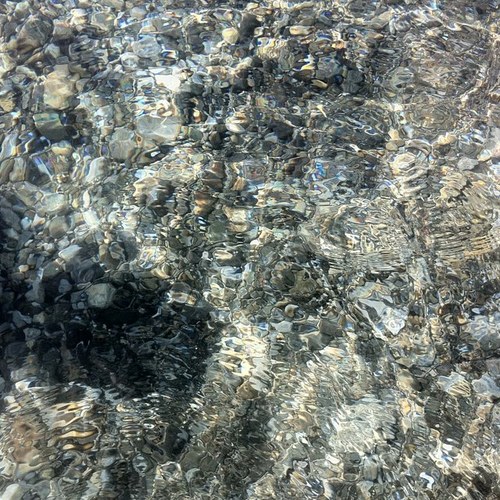 pietrobonfa's profile picture. 