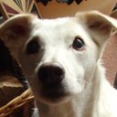 dorothy todd - @cabbages11 - Twitter