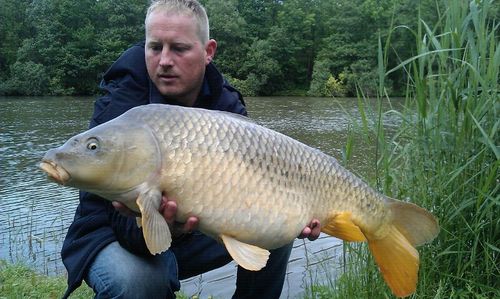 corvaaf's profile picture. 