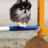 kiiro12's profile image