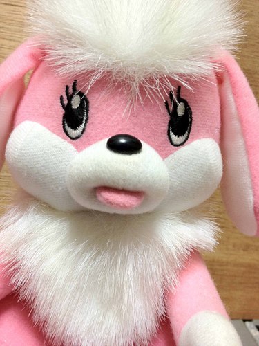 おのきゃんさんのプロフィール画像