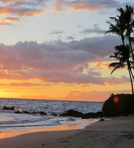 The world needs more aloha and the ukulele is the tool to bring people together.  Support progressive views.  Humor and health are important aspects of life.