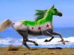 samerarar1's profile picture. http://t.co/zspMkpT0eb