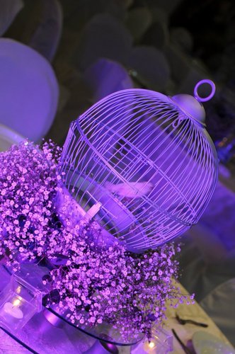 ba7er752's profile picture. we know that ur wedding is ur dreamday, we always put our touch between ur hands and develop ur idea to make ur dreamday come true..