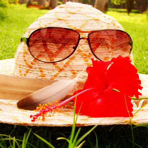 conjecturegirl's profile picture. Asker, Conjecturer