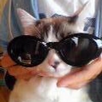 朝寝 (@mito_dot_a) 's Twitter Profile