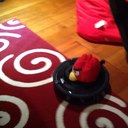 Rose Bertram - @bertram_rose - Twitter