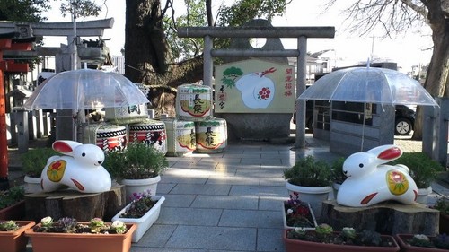 割烹着さんのプロフィール画像