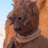 nrpk47evar's profile image