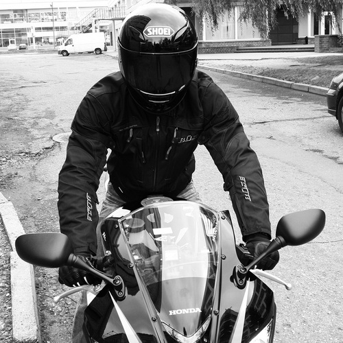 gocreate's profile picture. 