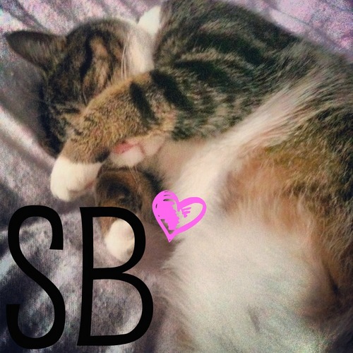 Strawberry10178's profile picture. Always laugh when you can. Its cheaper than medicine.