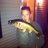 kaleb_robichaud's profile image