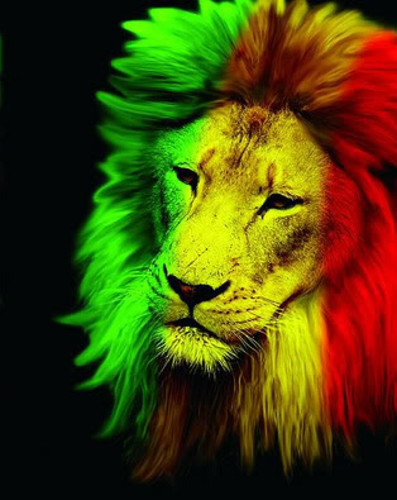 _daider's profile picture. 19 años, biker y skater a veces. 
buen chaval, no malos rollos ;)
y sobre todo... eseee reggae que nuncaa falteeee!!