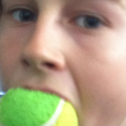 FaZeJizzBAG's profile picture. Prince Phillips Butt Buddy.