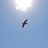 Chazza454's profile image